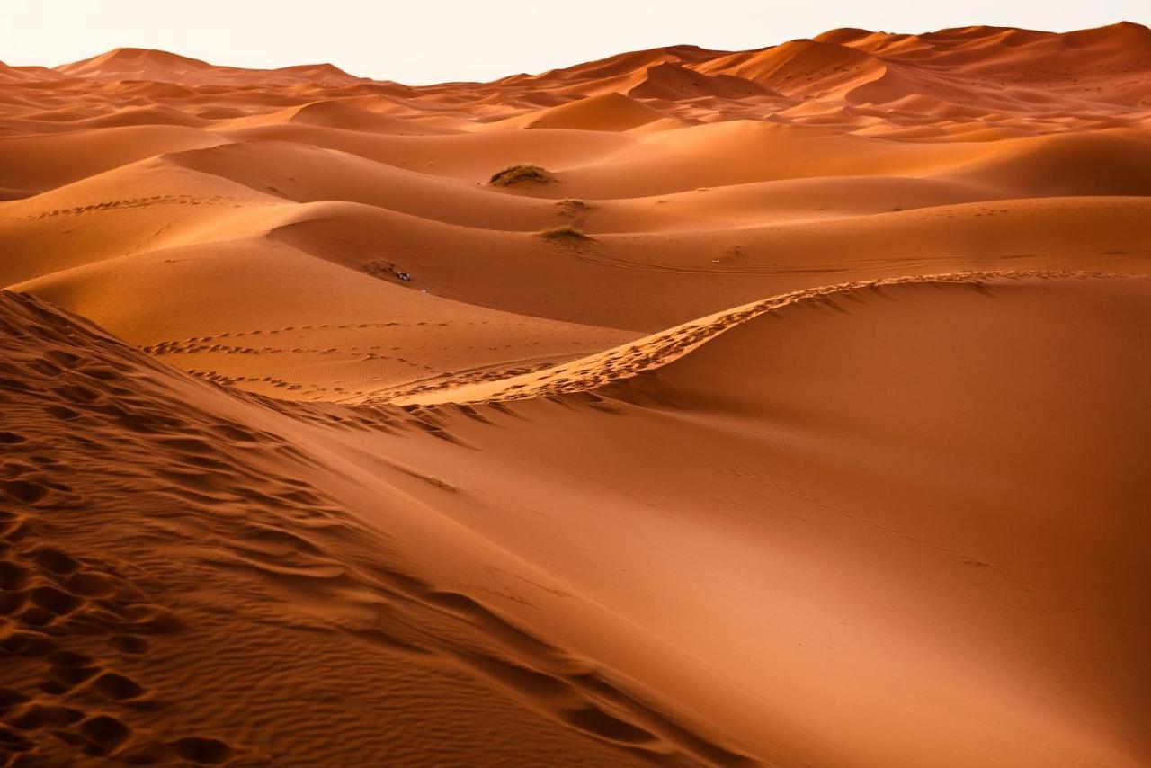 Paradis Touareg Zagora Ngoại thất bức ảnh