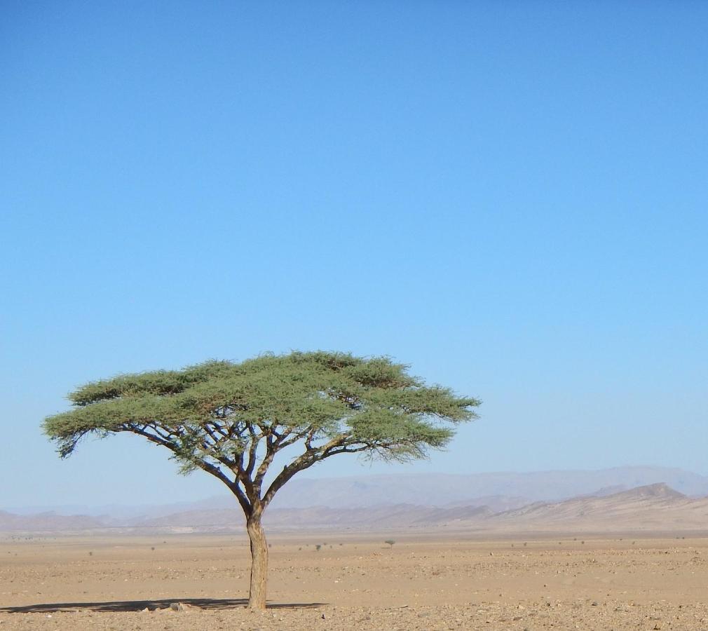 Paradis Touareg Zagora Ngoại thất bức ảnh